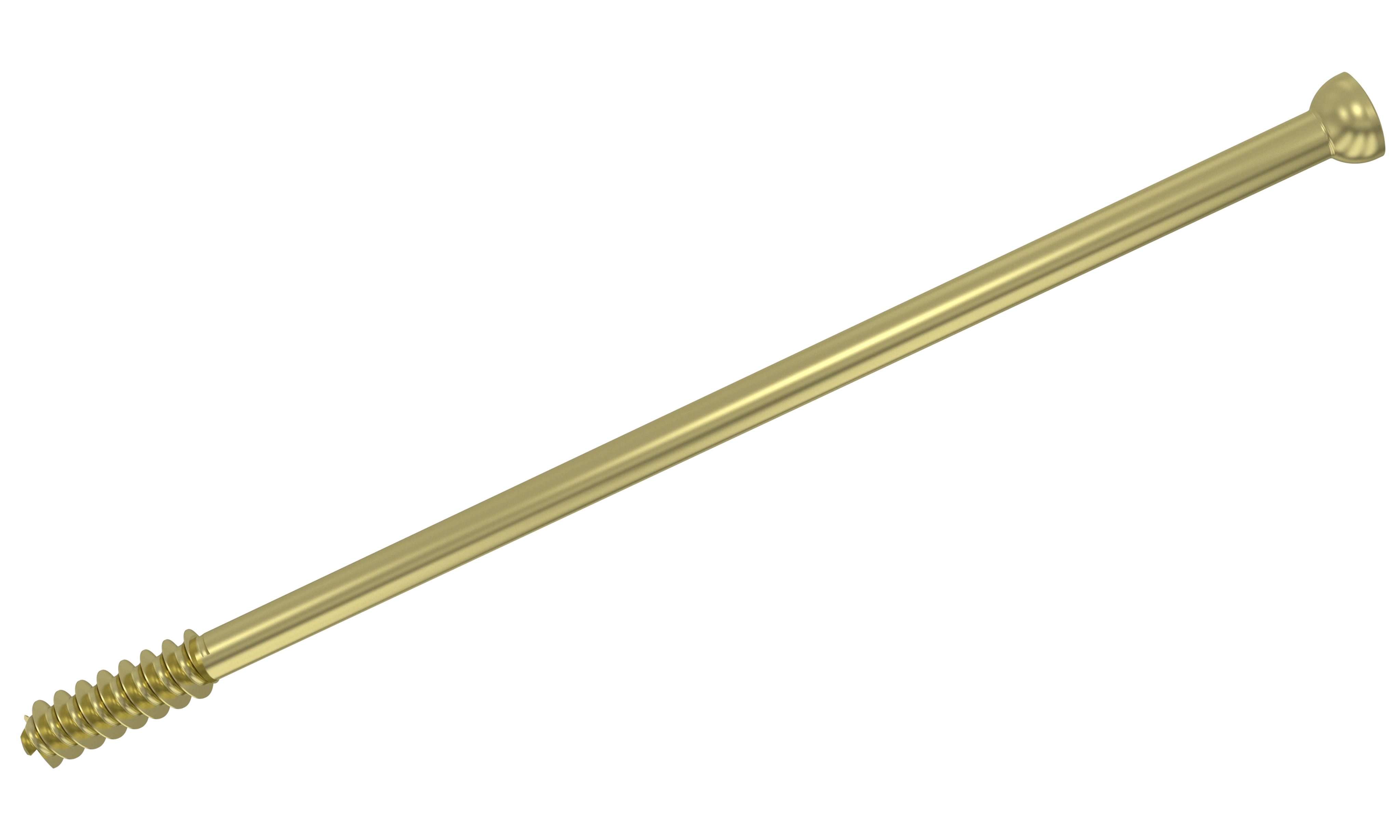 6.5 mm Cannulated Cancellous Screw (16mm) product image